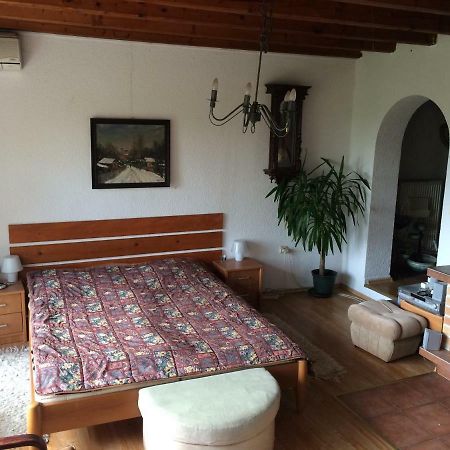 Holiday House Cervena Veza 皮耶什佳尼 外观 照片