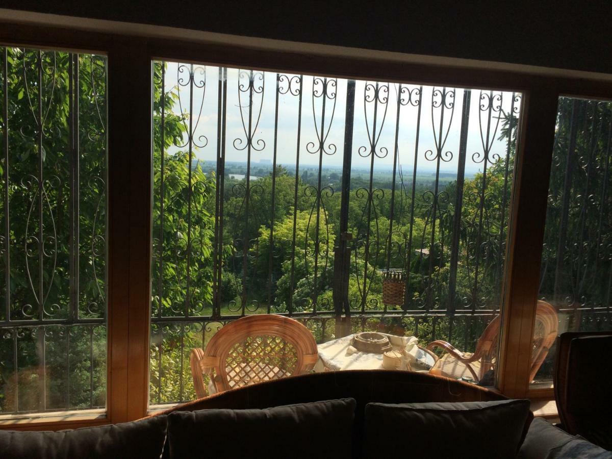 Holiday House Cervena Veza 皮耶什佳尼 外观 照片